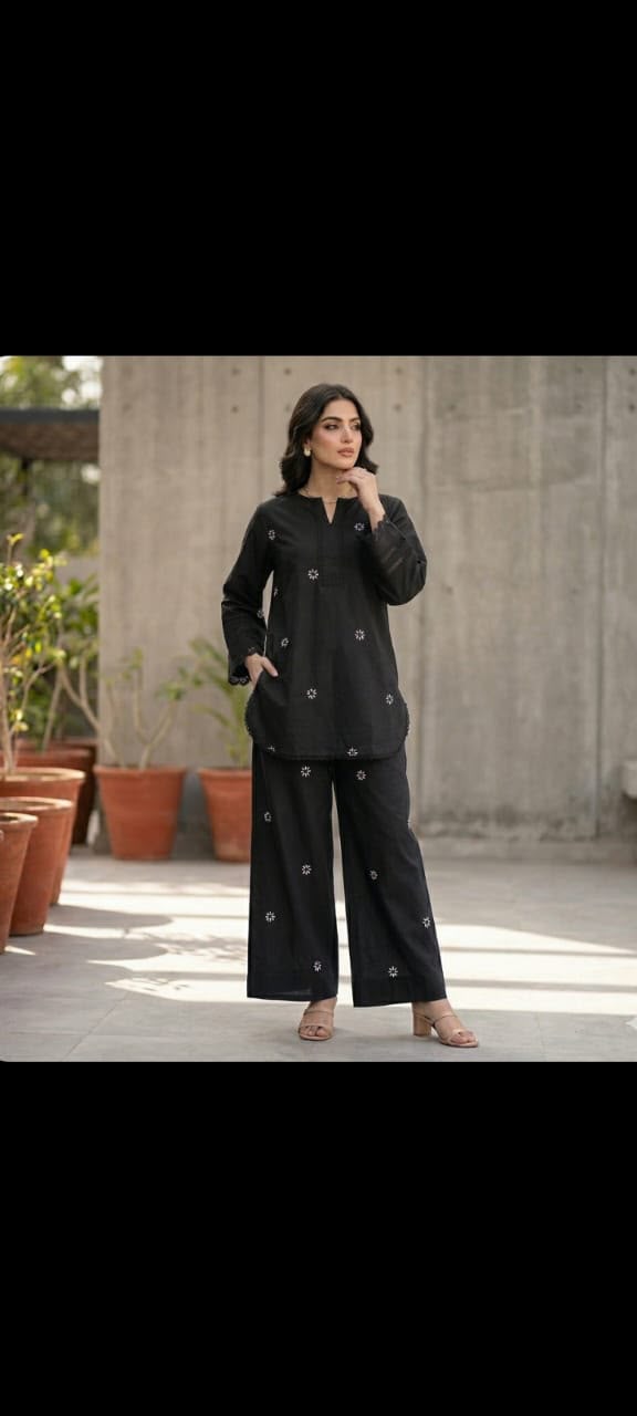 Embroidery Farshi Co Ord Set