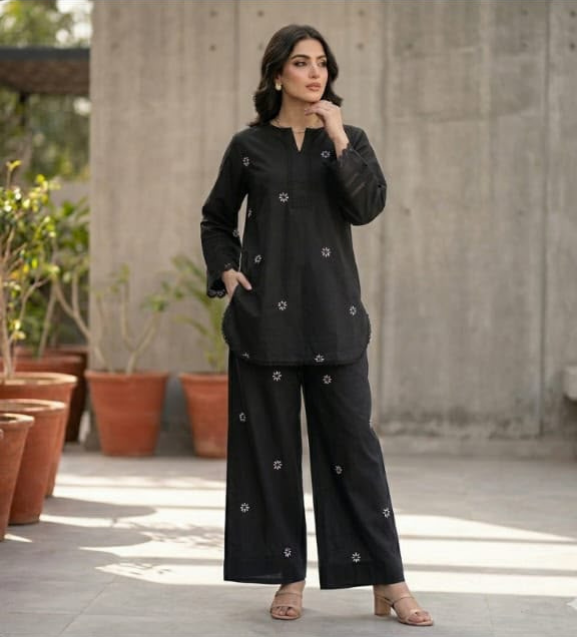 Embroidery Farshi Co Ord Set