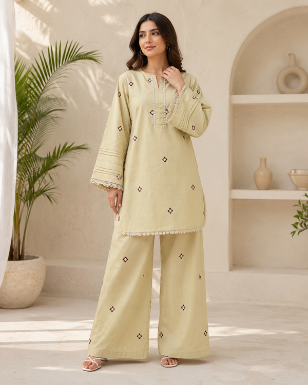 Embroidery farshi co-ord-set